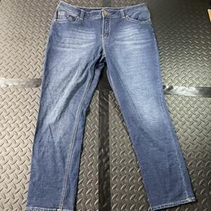 H2J Jeans Womens 22W Blue Stretch Denim Straight Leg Plus Size Mid Rise